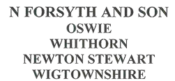 N. Forsyth Logo